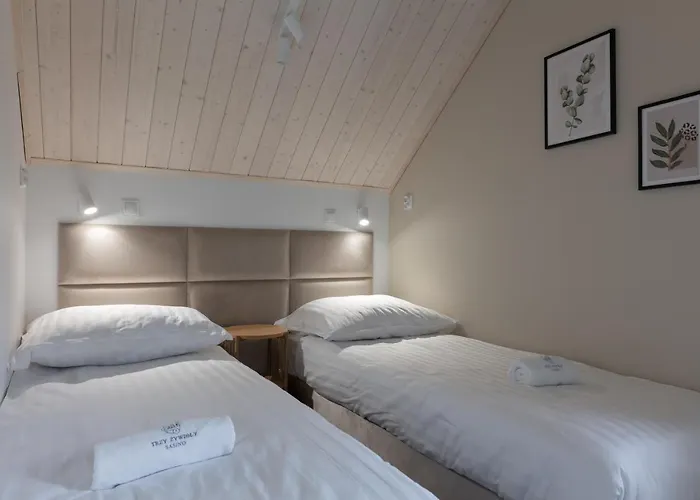 Trzy Zywioly 3* Sasino